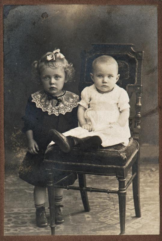 Sepia-toned photographs contain various shades of brown.