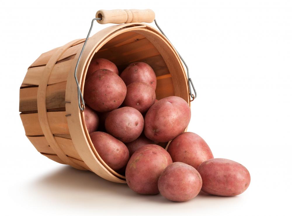 Animals get glycogen by eating carbohydrates such at those found in potatoes.