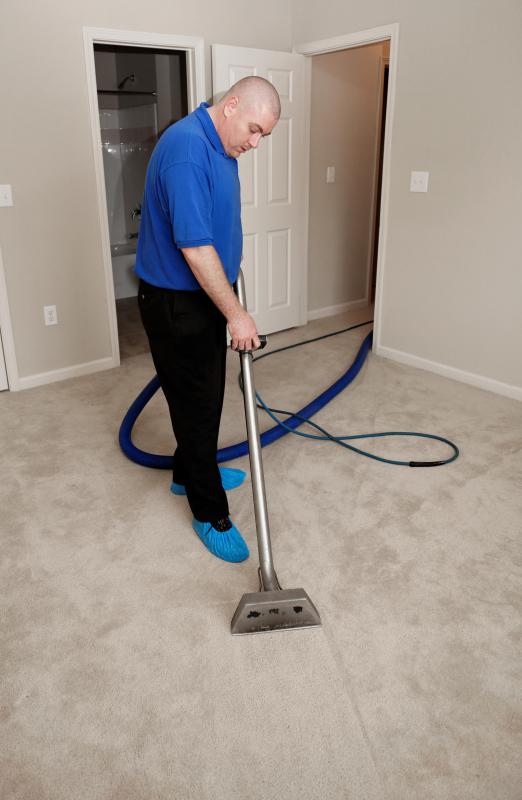Steam cleaners can remove pet odor.