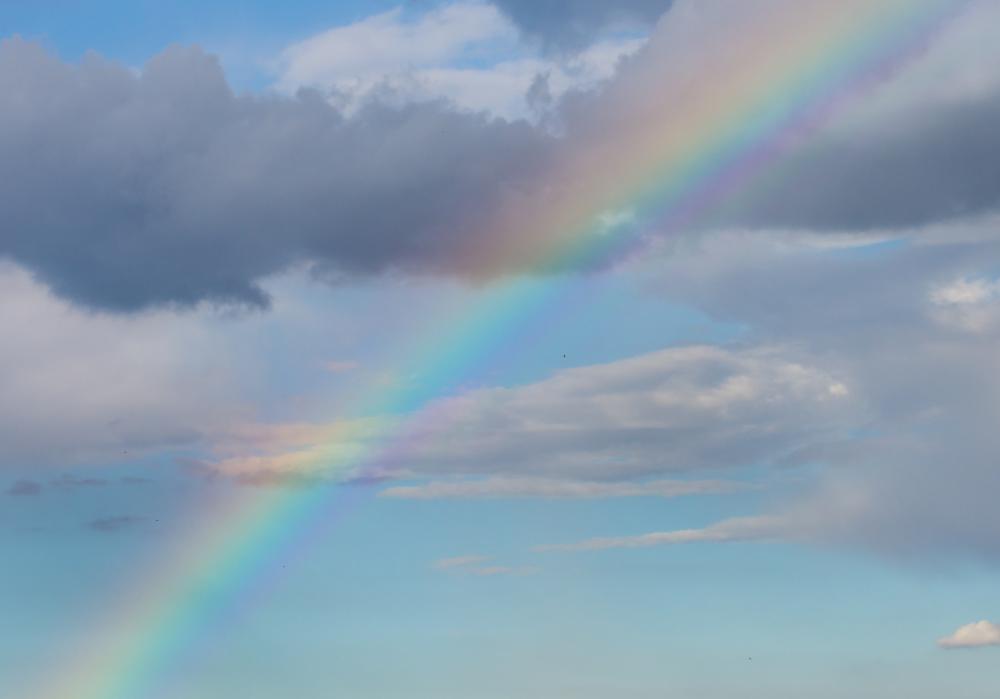 In a rainbow, light is refracted by raindrops.