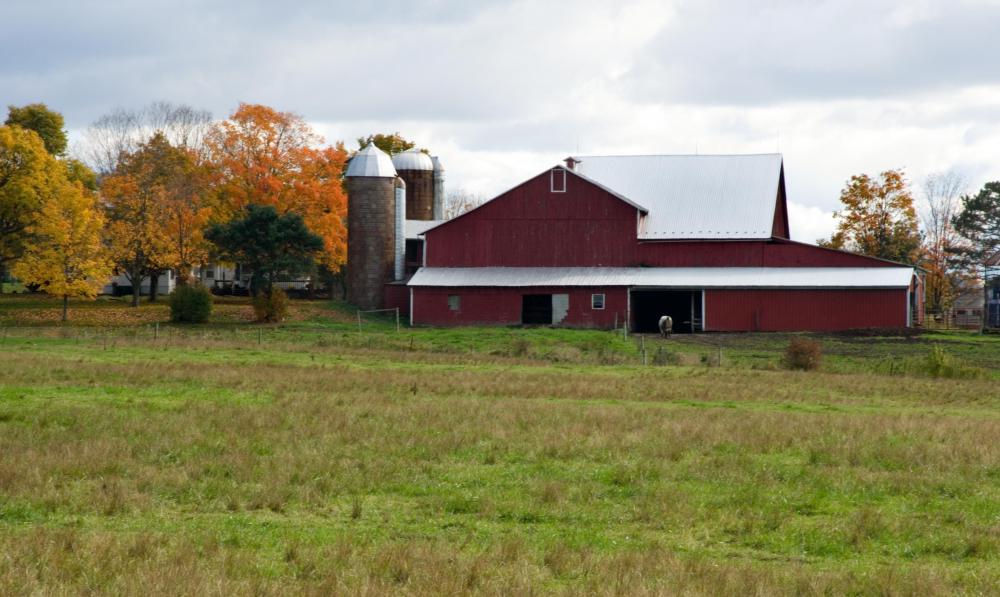 Barn raising was an important part of colonial farm life.
