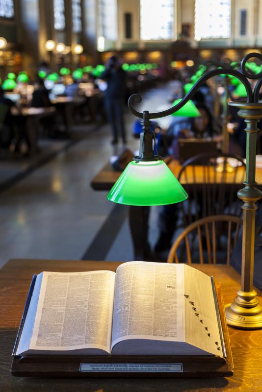 Once published, monographs are often placed in research libraries.