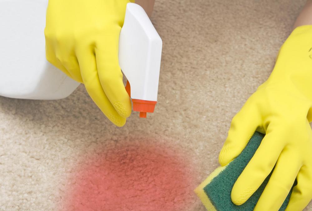 Removing a wine stain from carpet.