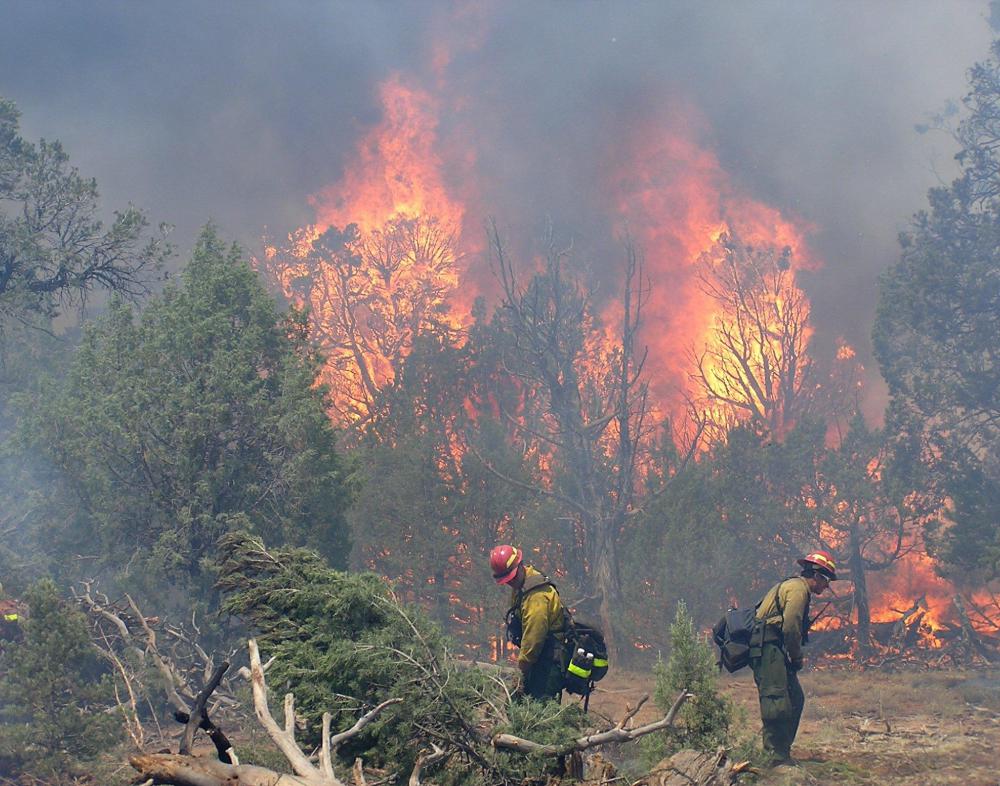 Smokejumpers, who leap from fixed-wing aircraft, are needed to fight fires in otherwise inaccessible areas.