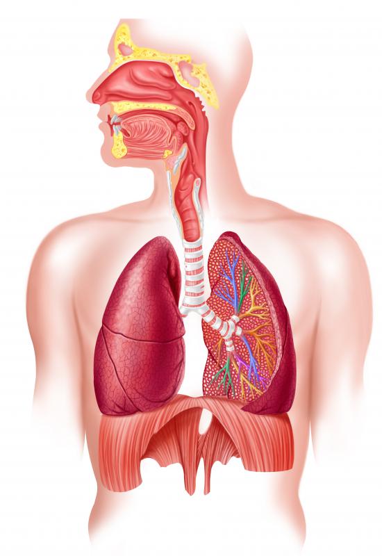 Hypercapnia may occur in cases of lung failure where breathing becomes extremely difficult.