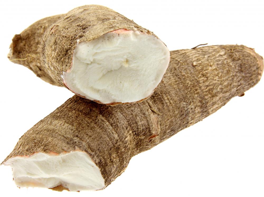 Yuca is also sometimes known as casava.