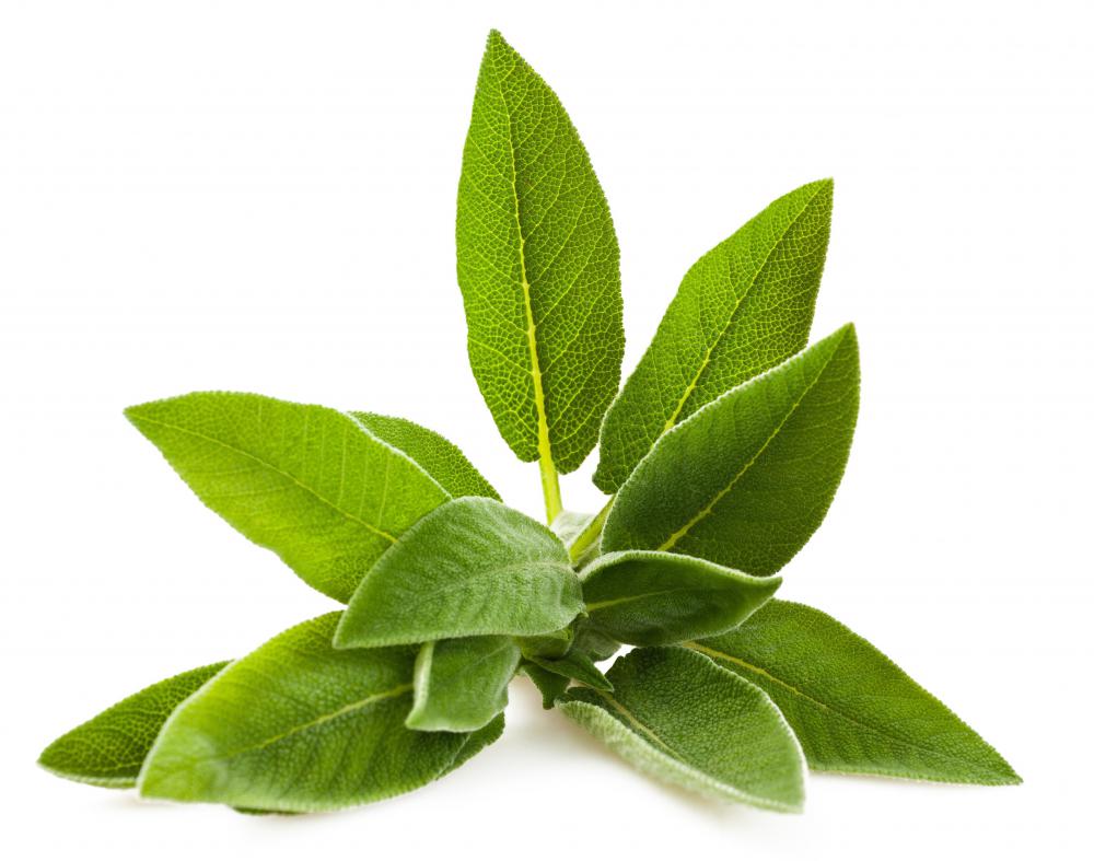 Burning sage is thought by some to remove negative energies.