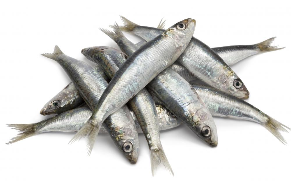 Spanish sardines -- a type of small fish in the herring family -- are rich in calcium and other minerals, vitamin D, and omega-3 fatty acids.