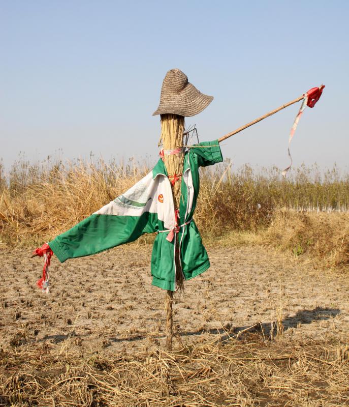 The term "stuffed shirt" might have originated with the stuffing used in scarecrows.