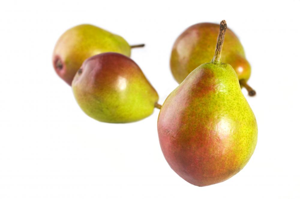 Seckel pears are a species of heirloom fruit.