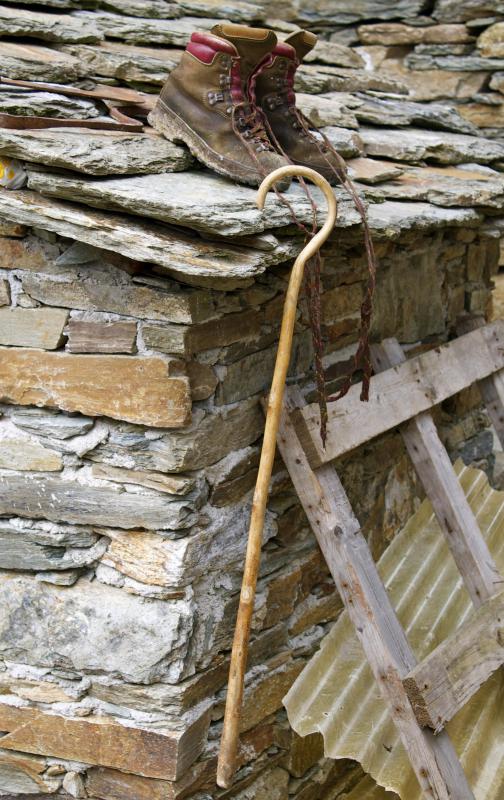 Crooks are used by shepherds to control sheep.