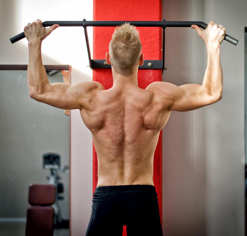 Strengthening the core involves working the back muscles.