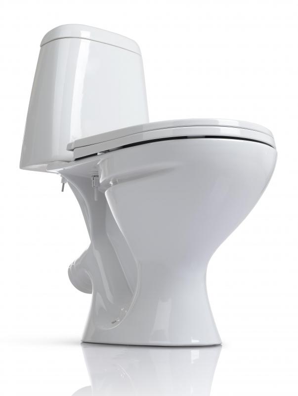 Most toilets that look like they're made from porcelain are actually made from vitreous china.