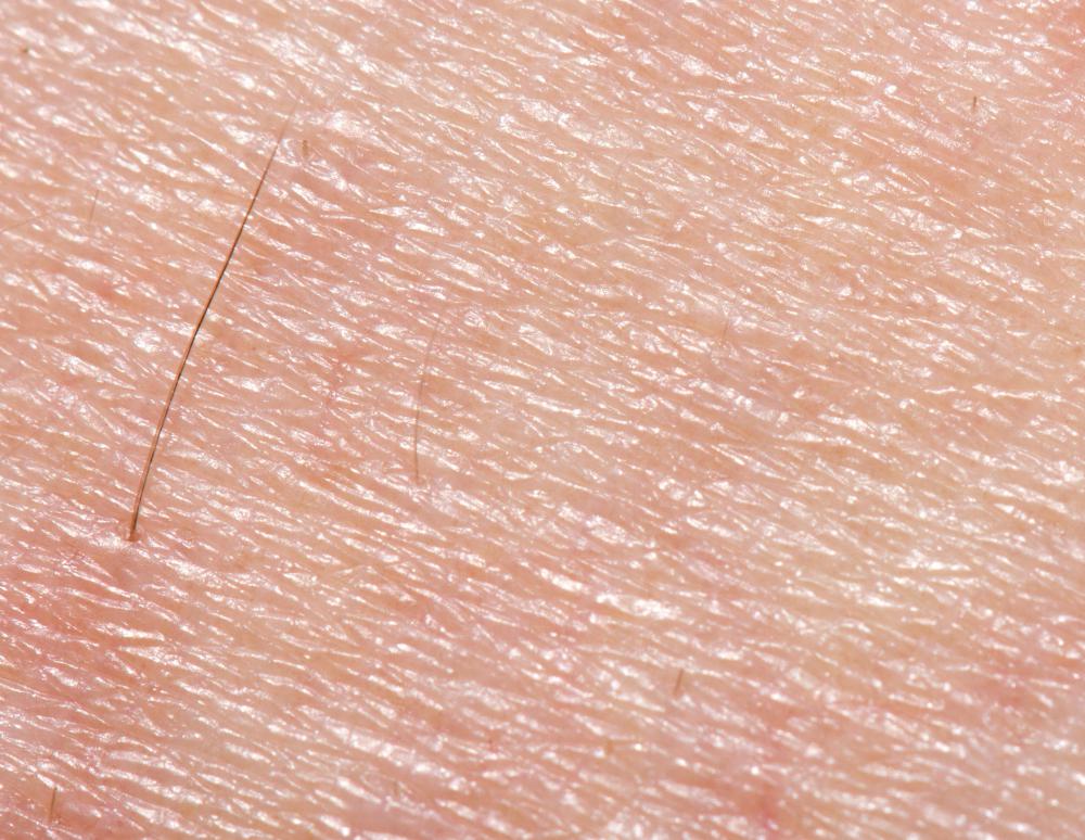 Skin cells last about a month.