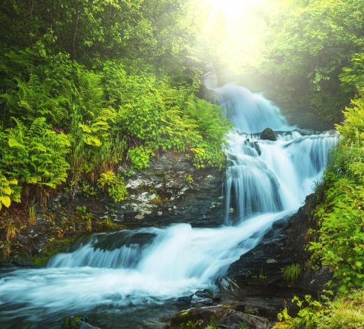 Acid rain can make the water in lakes and streams more acidic.