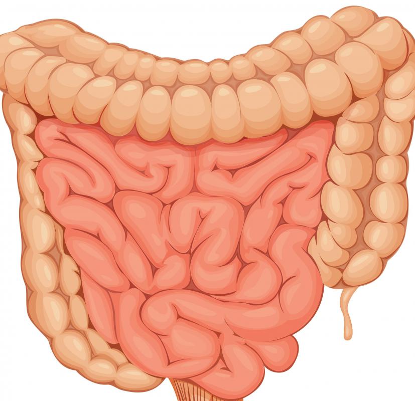 Polyps within the duodenum, which is part of the small intestine, are usually benign, but not always.