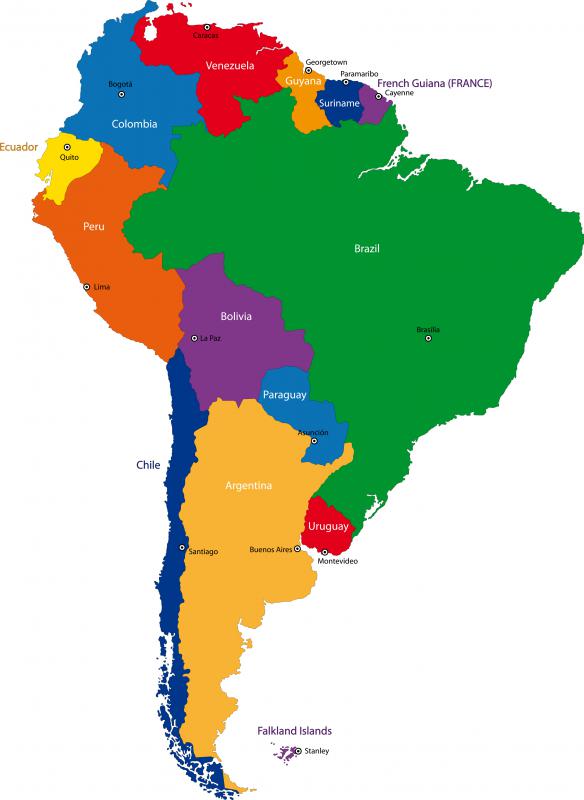 Yuca is a staple food in South America, where it is cultivated widely.