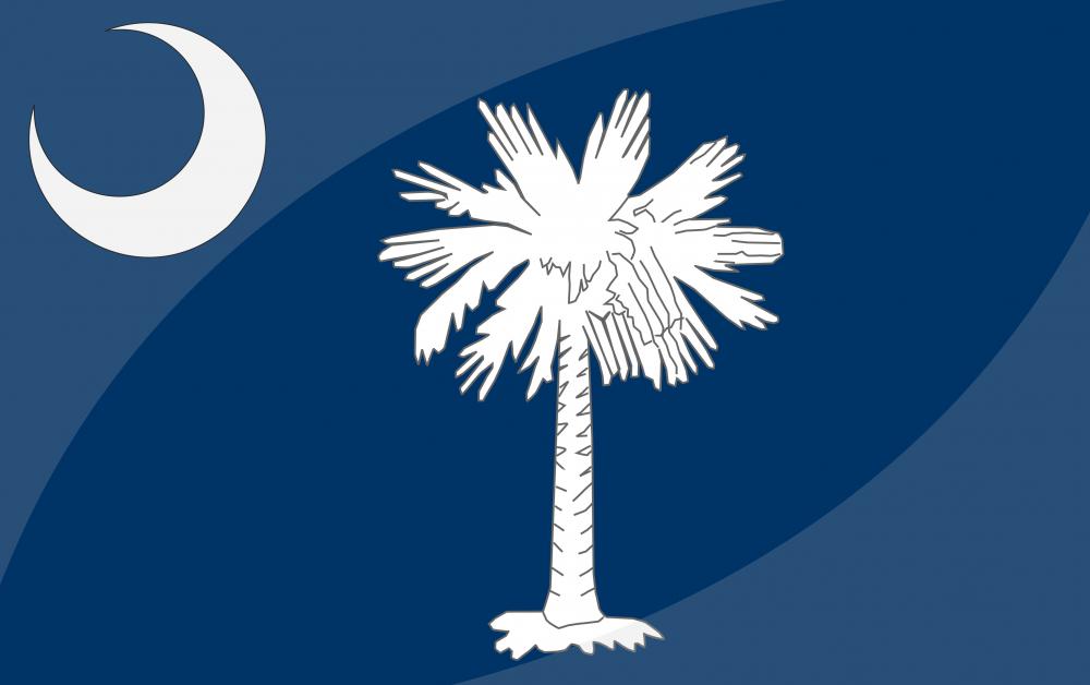 The South Carolina state flag.