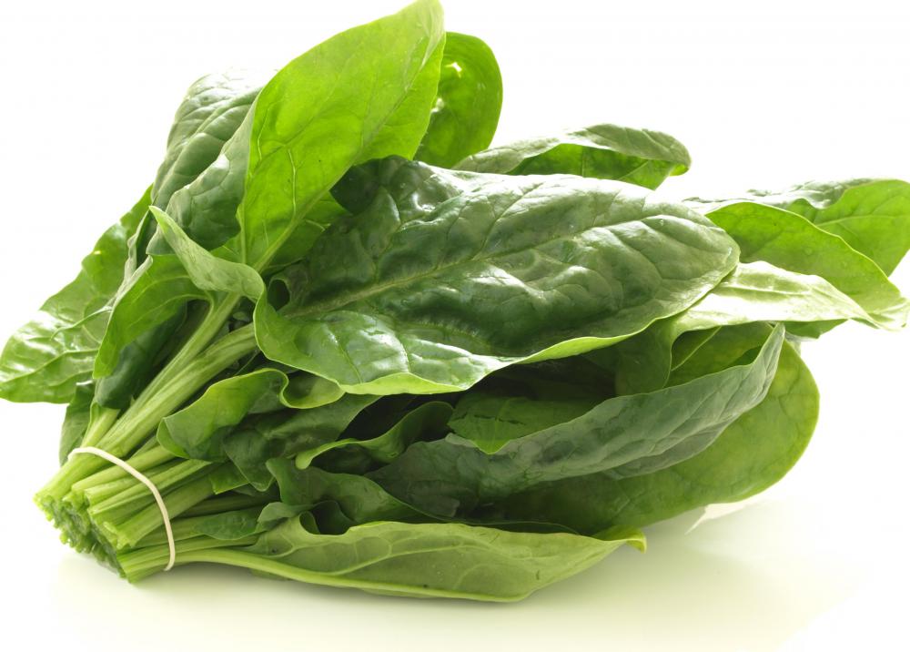 In 2006, U.S. consumers were notified that some bagged spinach sold in grocery stores was contaminated with E. coli.