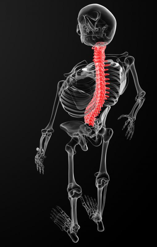 White matter is located outside of the spinal cord.