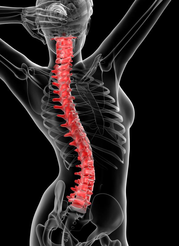 High density foam provides support that allows the spine to remain in a natural position.