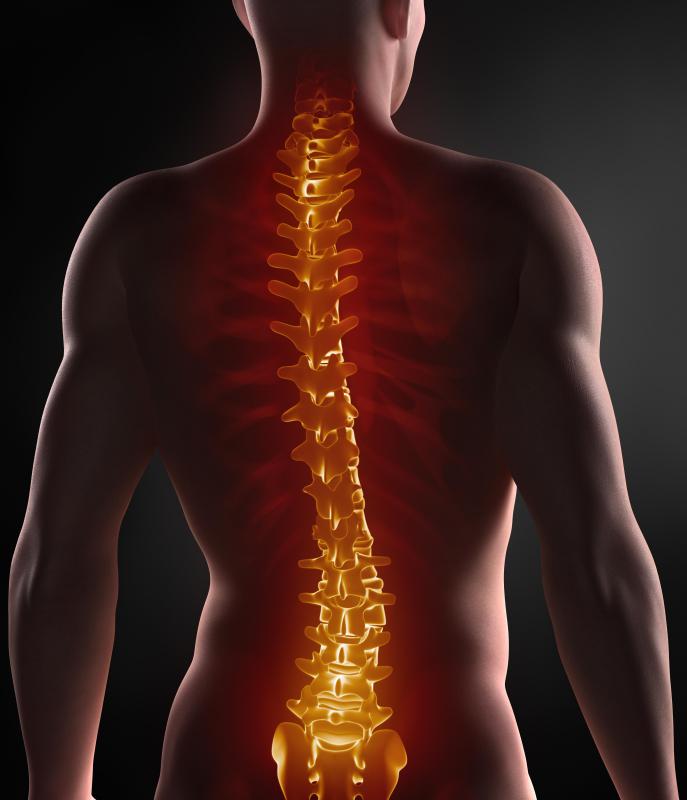 As people age, their vertebrae can start compressing their spinal discs.