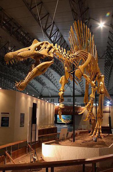 Dinosaurs reached their zenith in the Cretaceous period.