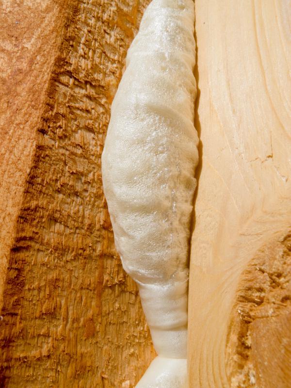 Spray foam insulation may help provide a noise barrier.