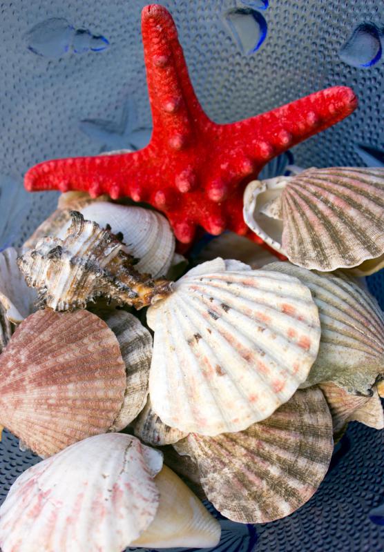 "She sells seashells by the seashore" is an example of a tongue twister.