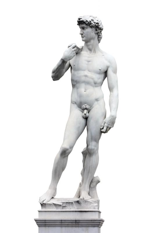 Sculpture is a visual art form that involves constructing or carving three dimensional pieces.