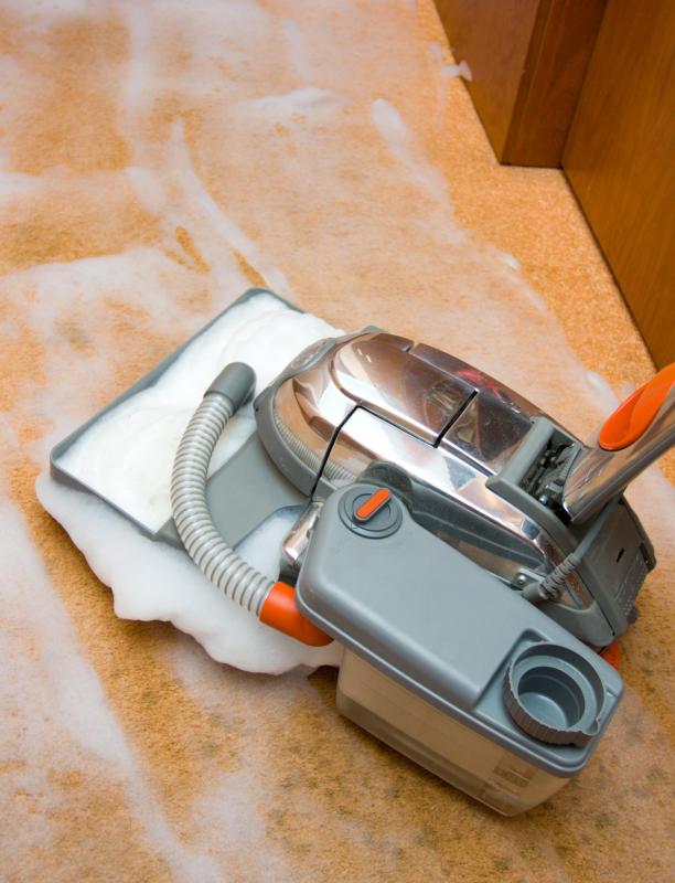 Steam cleaning a carpet may help get rid of odors associated with pet stains.