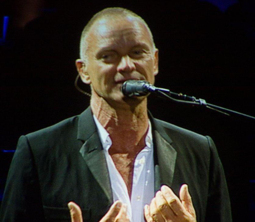 Tensions between lead singer Sting and percussionist Stewart Copeland are sometimes blamed for the end of The Police.
