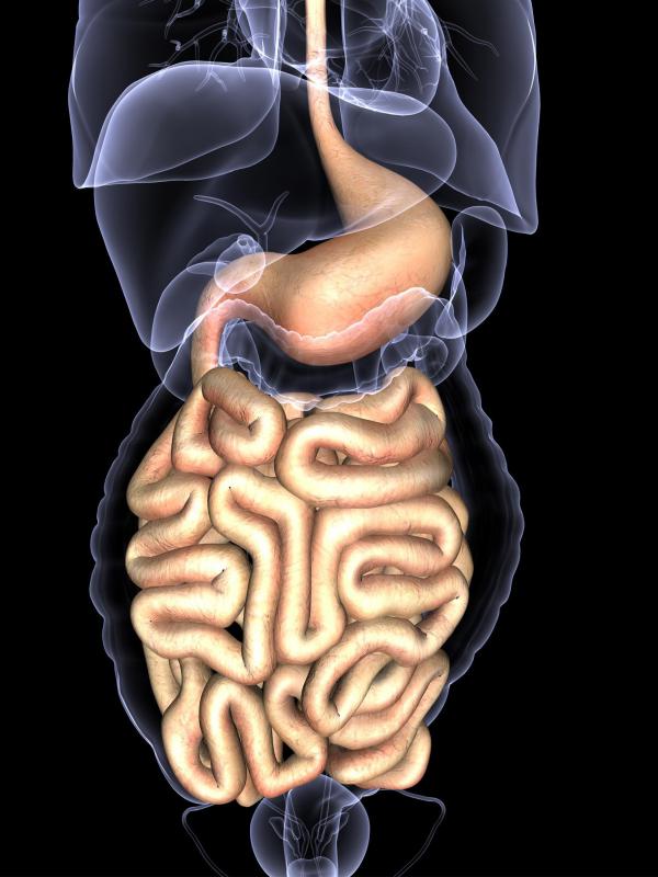 Harmal may be used to kill intestinal parasites.