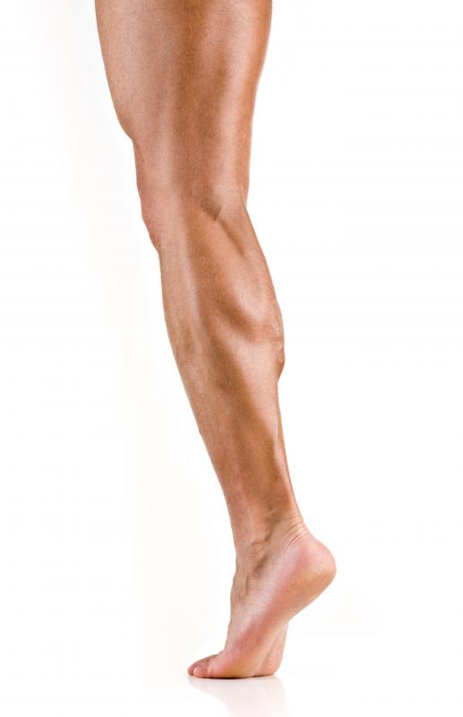 A person's calf muscles are situated along the inside length of the leg.