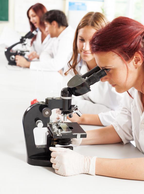 University biochemistry labs are used for both research and to teach students the proper lab procedures.