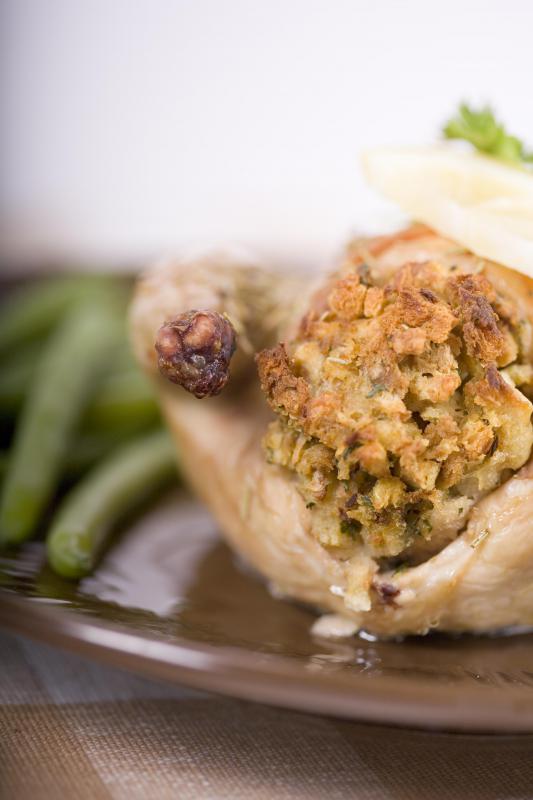 Spring chickens are commonly referred to as Cornish game hens.