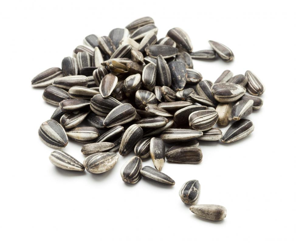 Sunflower lecithin is abundant in sunflower seeds.