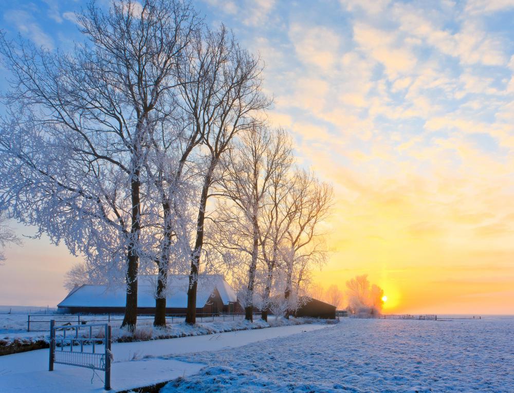 In general, the coldest part of the day will be just after sunrise.
