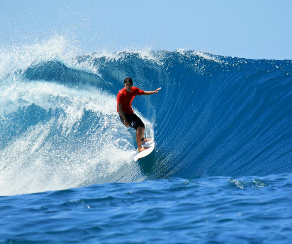 The minimum amount of equipment a surfer will need is a board.