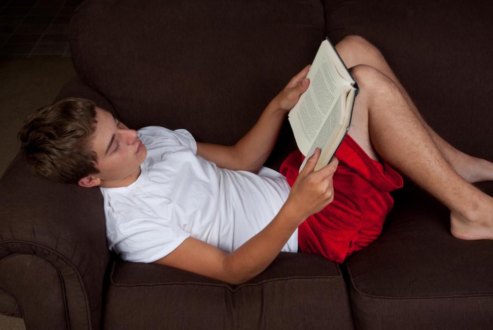 A writer's favorite novels can serve as muses.