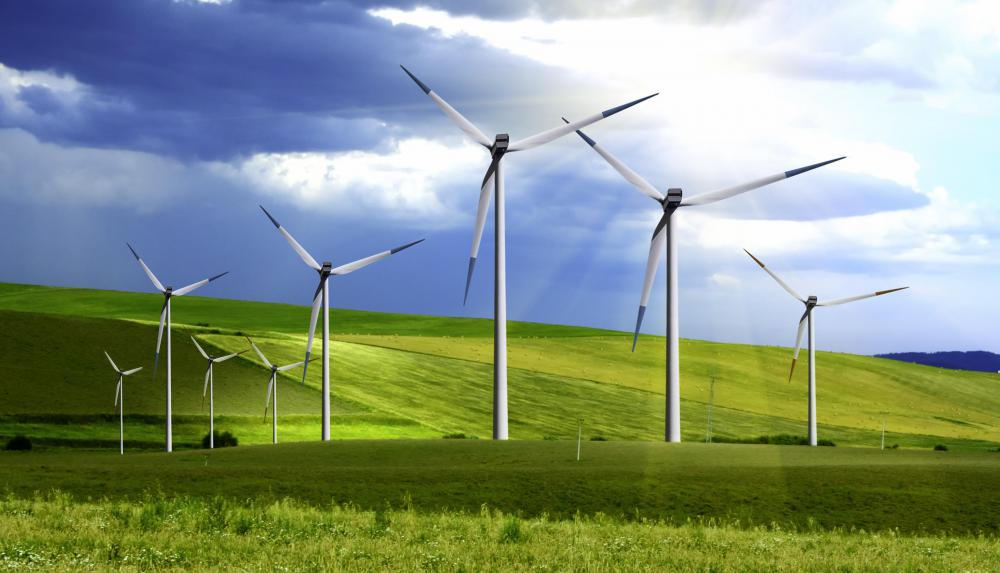 Wind farms can generate modest amounts of renewable energy.