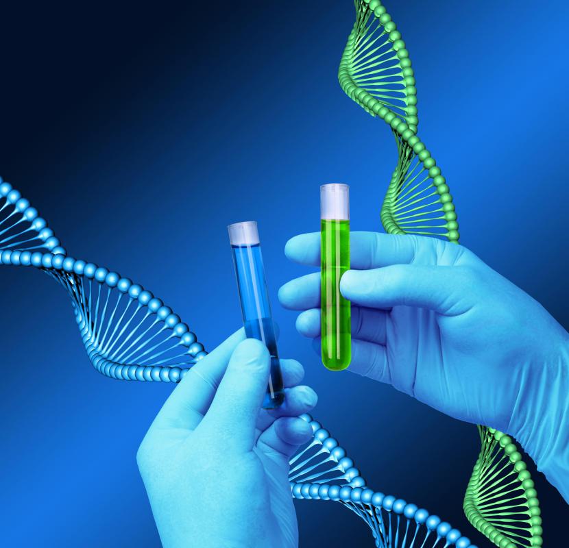 Mendel's work enabled scientists to conduct advanced research in the field of genetics.