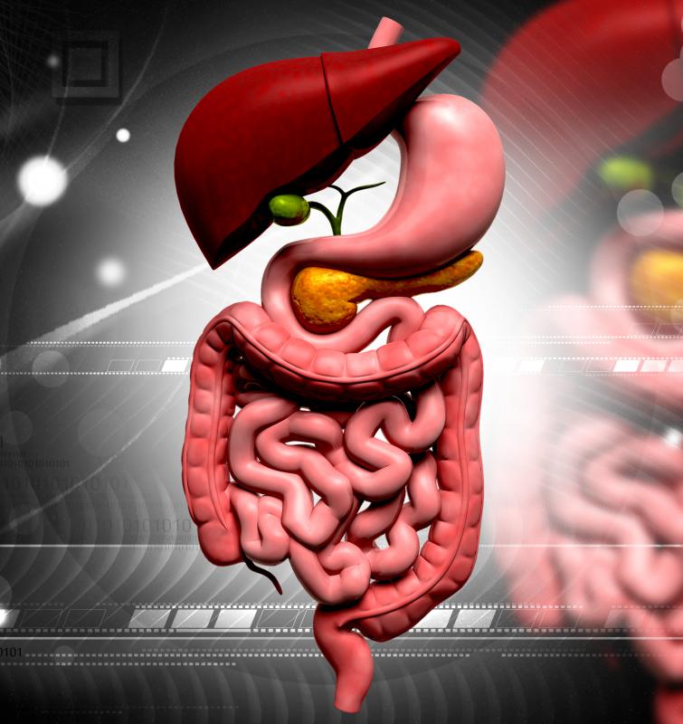 The S-shaped portion of the lower part of the large intestine is referred to as the sigmoid colon.