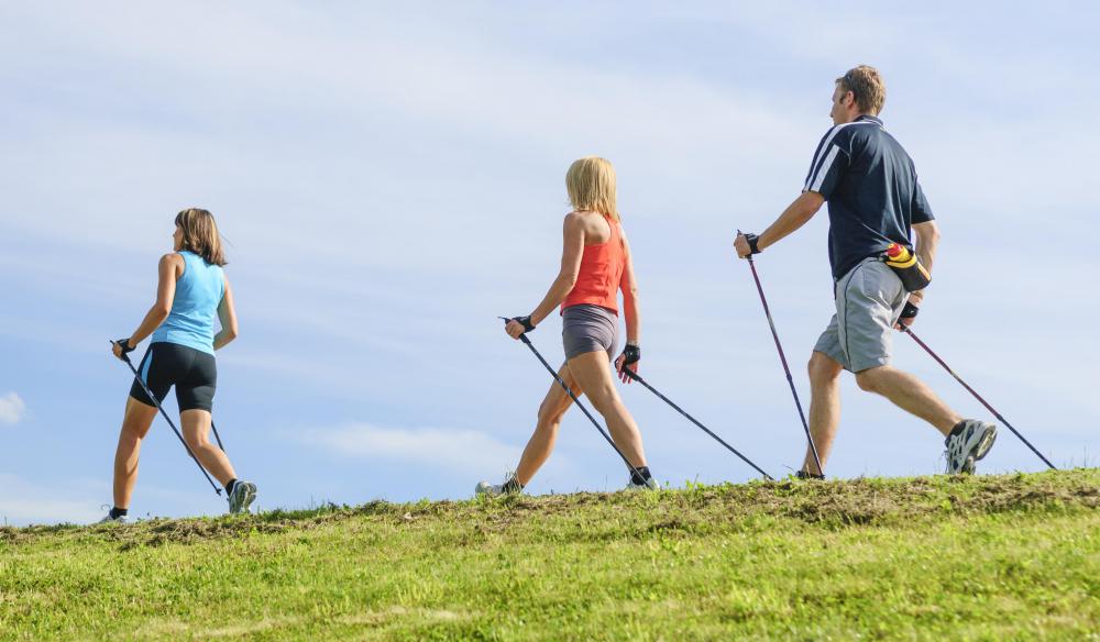 Using two hiking poles can relieve much of stress put on a hiker's joints and muscles.