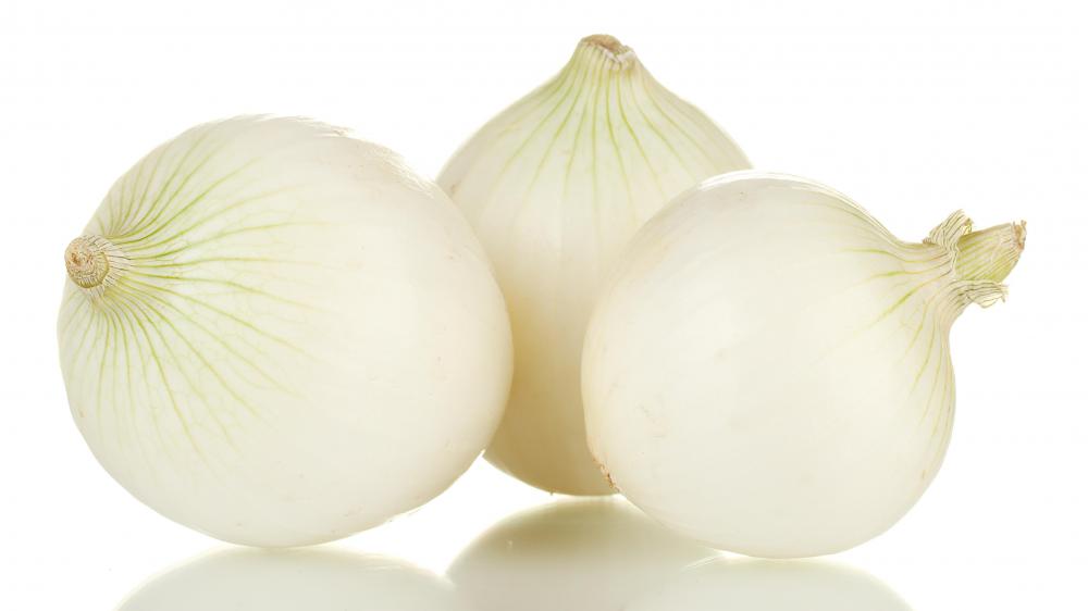 Individuals who are allergic to onions are likely to also be allergic to aloe vera.