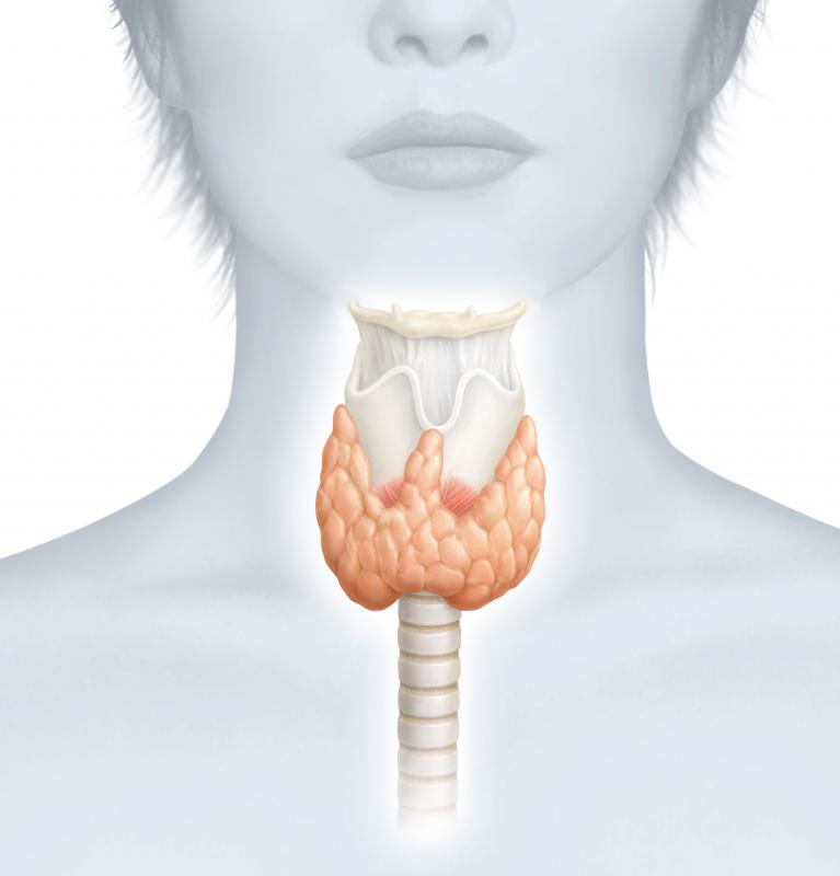 Individuals with thyroid conditions may experience dry elbows.