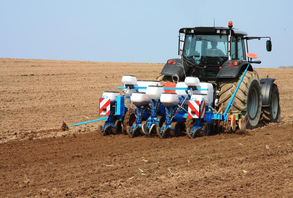 Farmers create patterns of ditches and channels to facilitate the drainage of surface water after heavy rainfall.