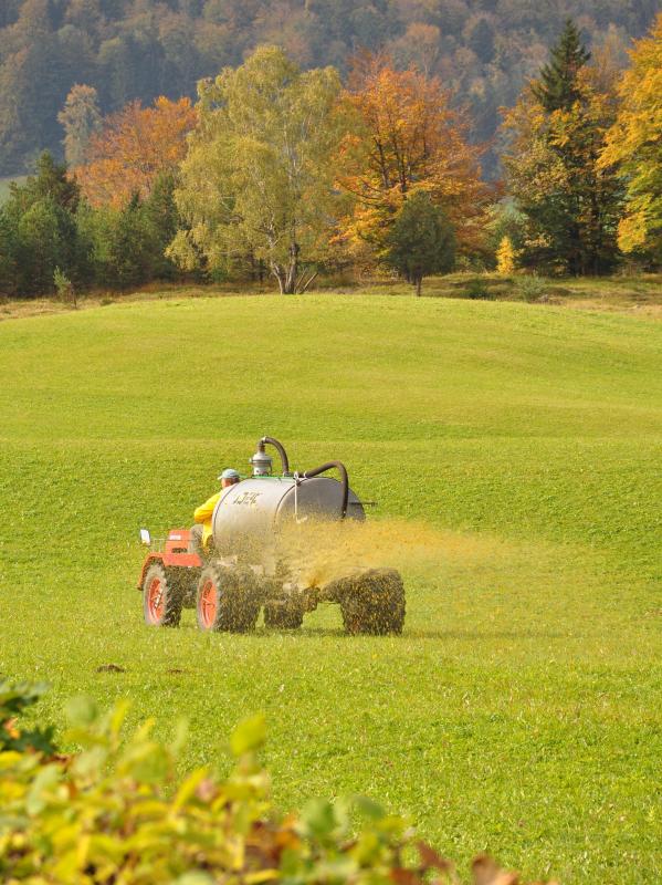 A farmer spreading nitrogen fertilizer.