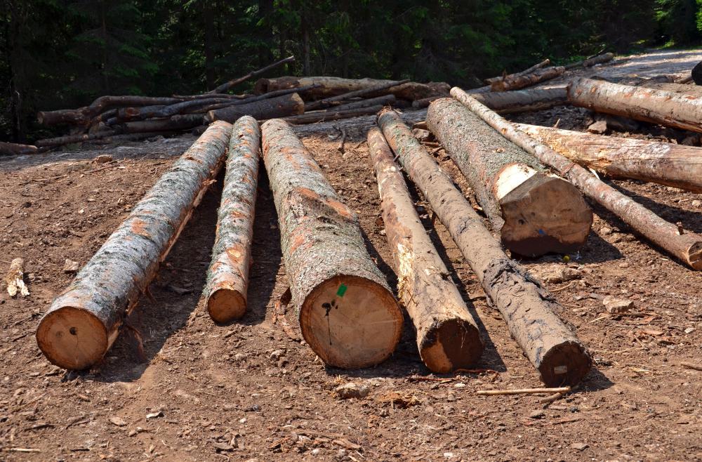 Lumber mills transform wooden logs from felled trees into wooden boards that are cut to standardized sizes.