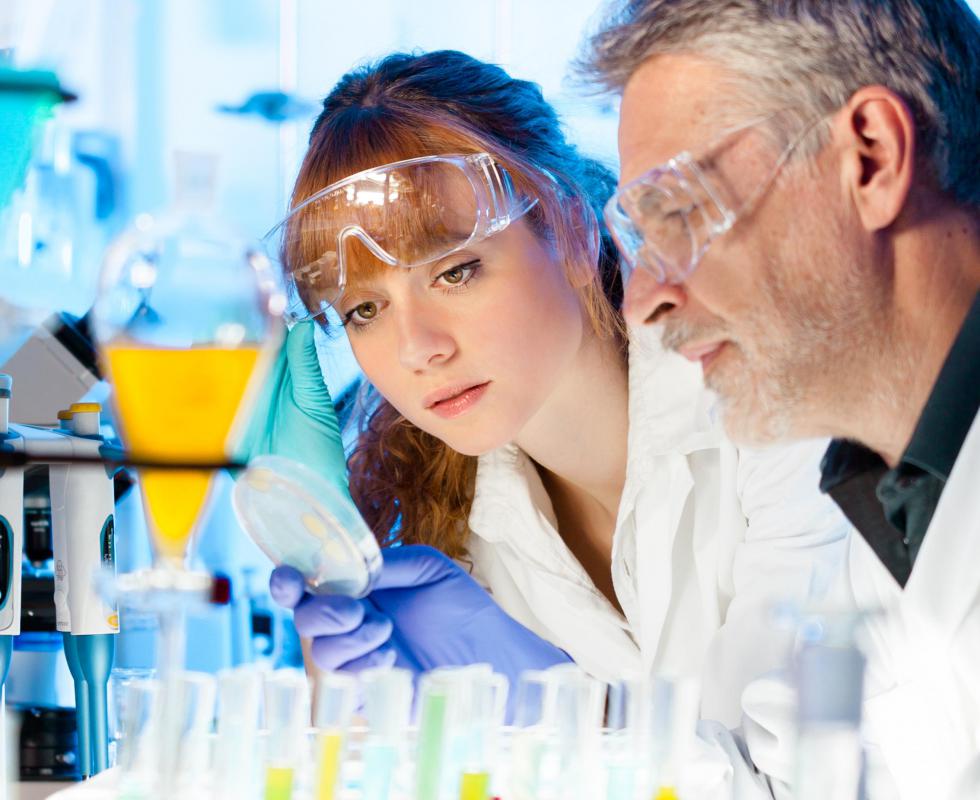 The first phase of medical research is pre-clinical research, which creates a safety summary in connection with a health product or drug.